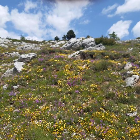 Il Girasole Bed and Breakfast Castelvecchio Calvisio Εξωτερικό φωτογραφία
