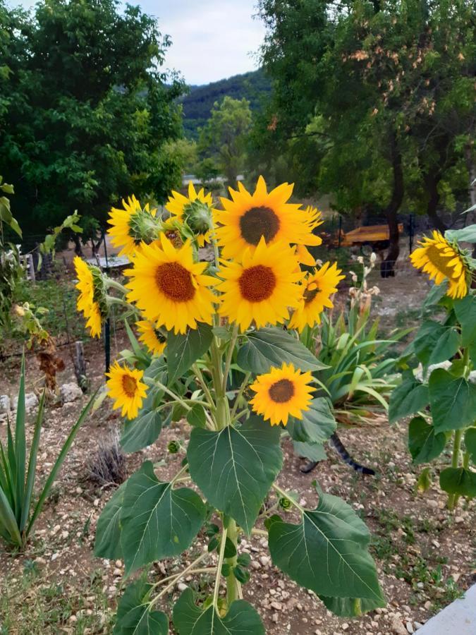 Il Girasole Bed and Breakfast Castelvecchio Calvisio Εξωτερικό φωτογραφία