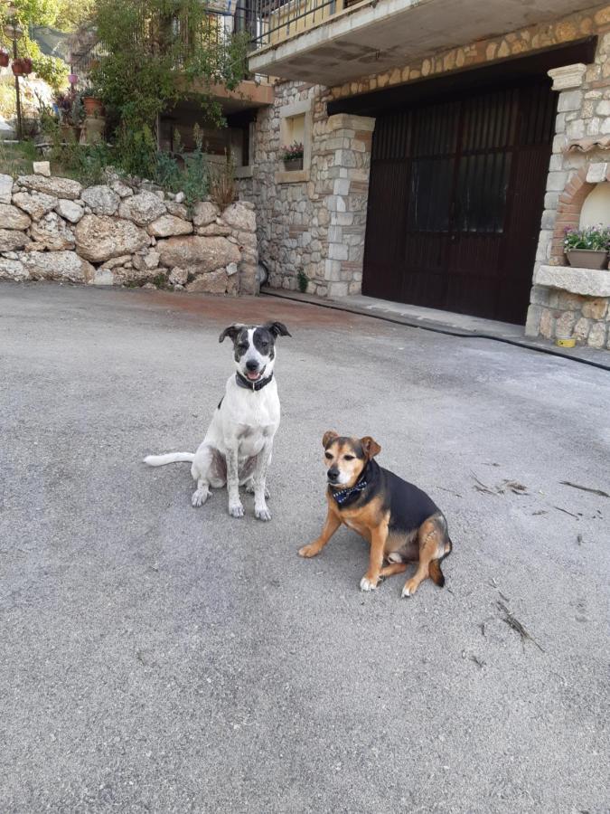 Il Girasole Bed and Breakfast Castelvecchio Calvisio Εξωτερικό φωτογραφία