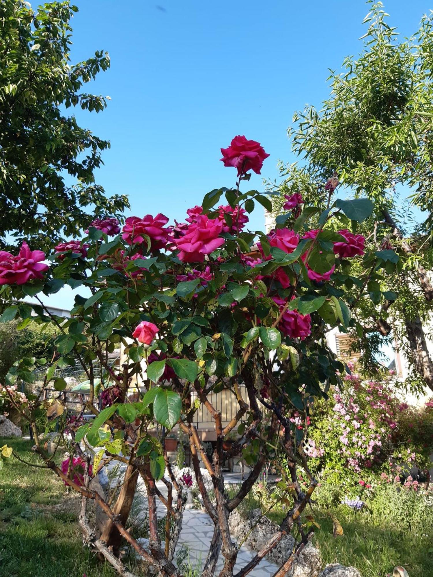 Il Girasole Bed and Breakfast Castelvecchio Calvisio Εξωτερικό φωτογραφία