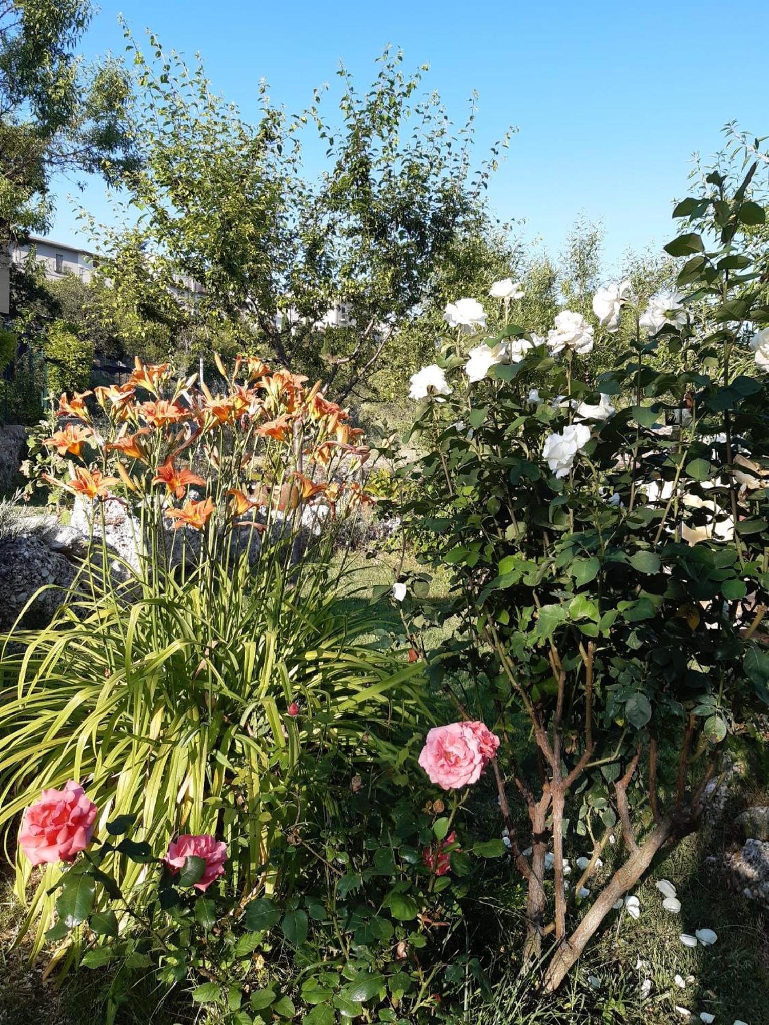 Il Girasole Bed and Breakfast Castelvecchio Calvisio Εξωτερικό φωτογραφία