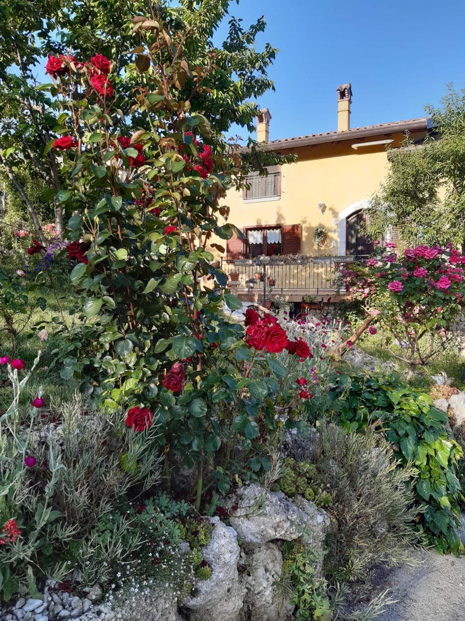 Il Girasole Bed and Breakfast Castelvecchio Calvisio Εξωτερικό φωτογραφία