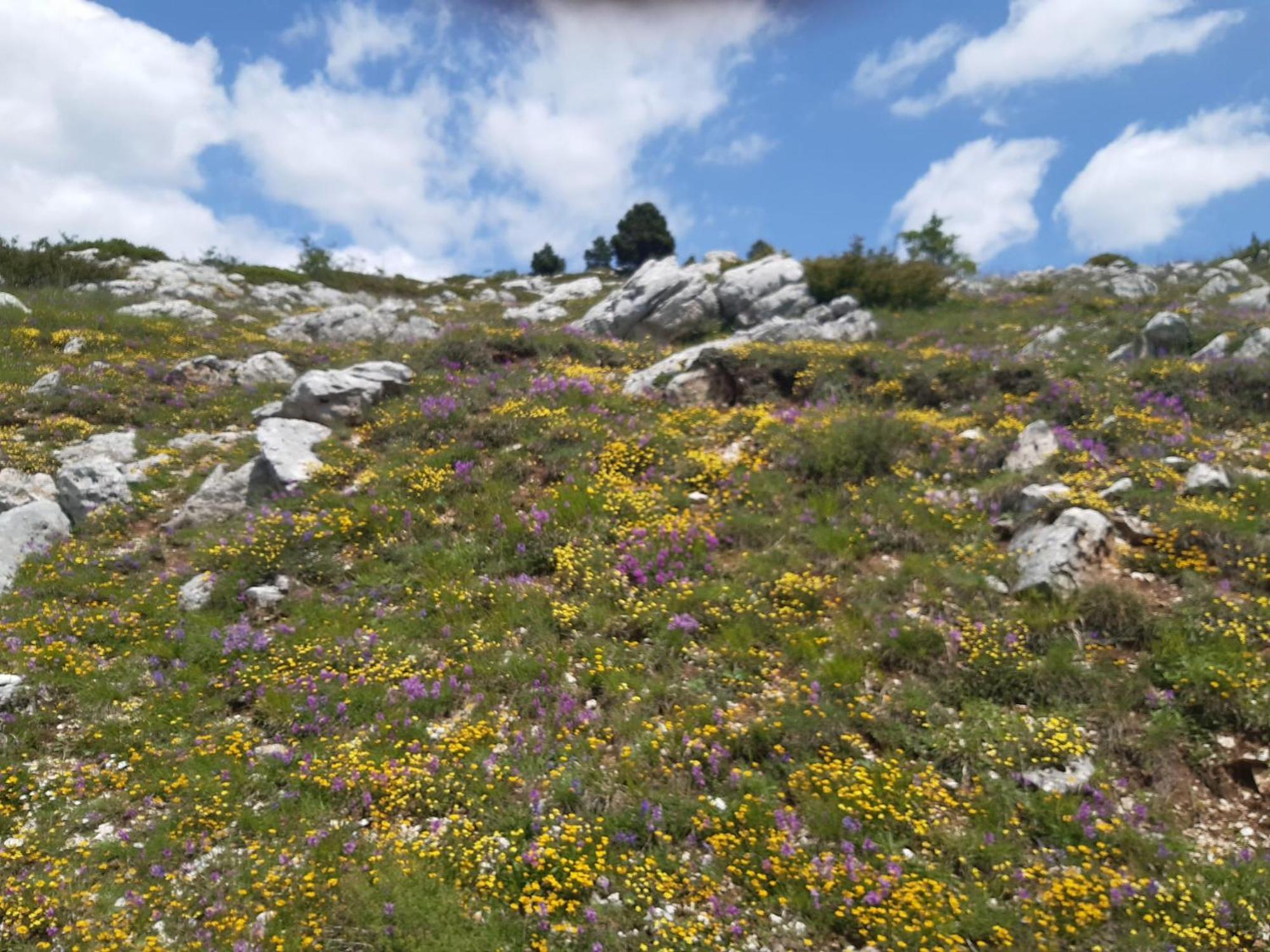 Il Girasole Bed and Breakfast Castelvecchio Calvisio Εξωτερικό φωτογραφία