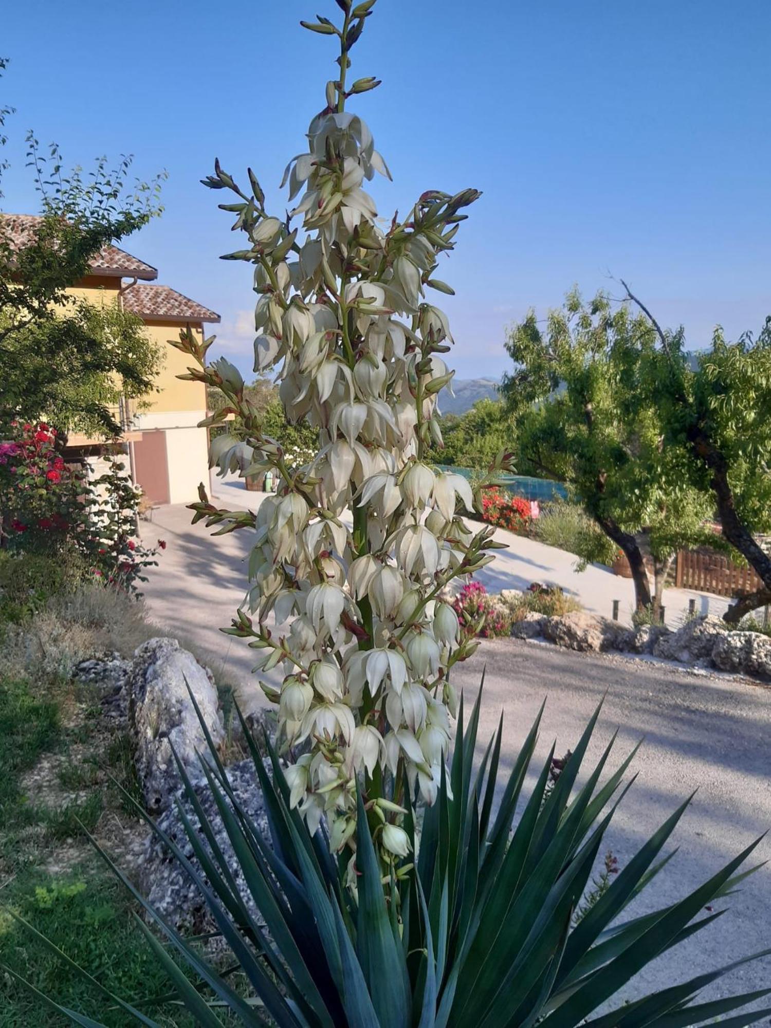 Il Girasole Bed and Breakfast Castelvecchio Calvisio Εξωτερικό φωτογραφία