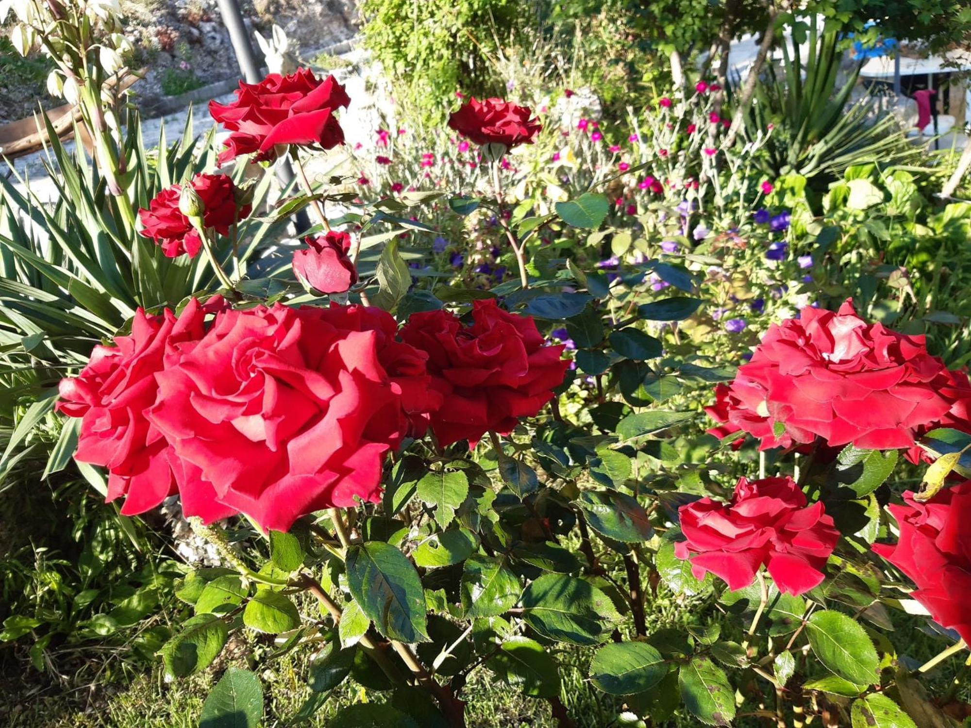 Il Girasole Bed and Breakfast Castelvecchio Calvisio Εξωτερικό φωτογραφία