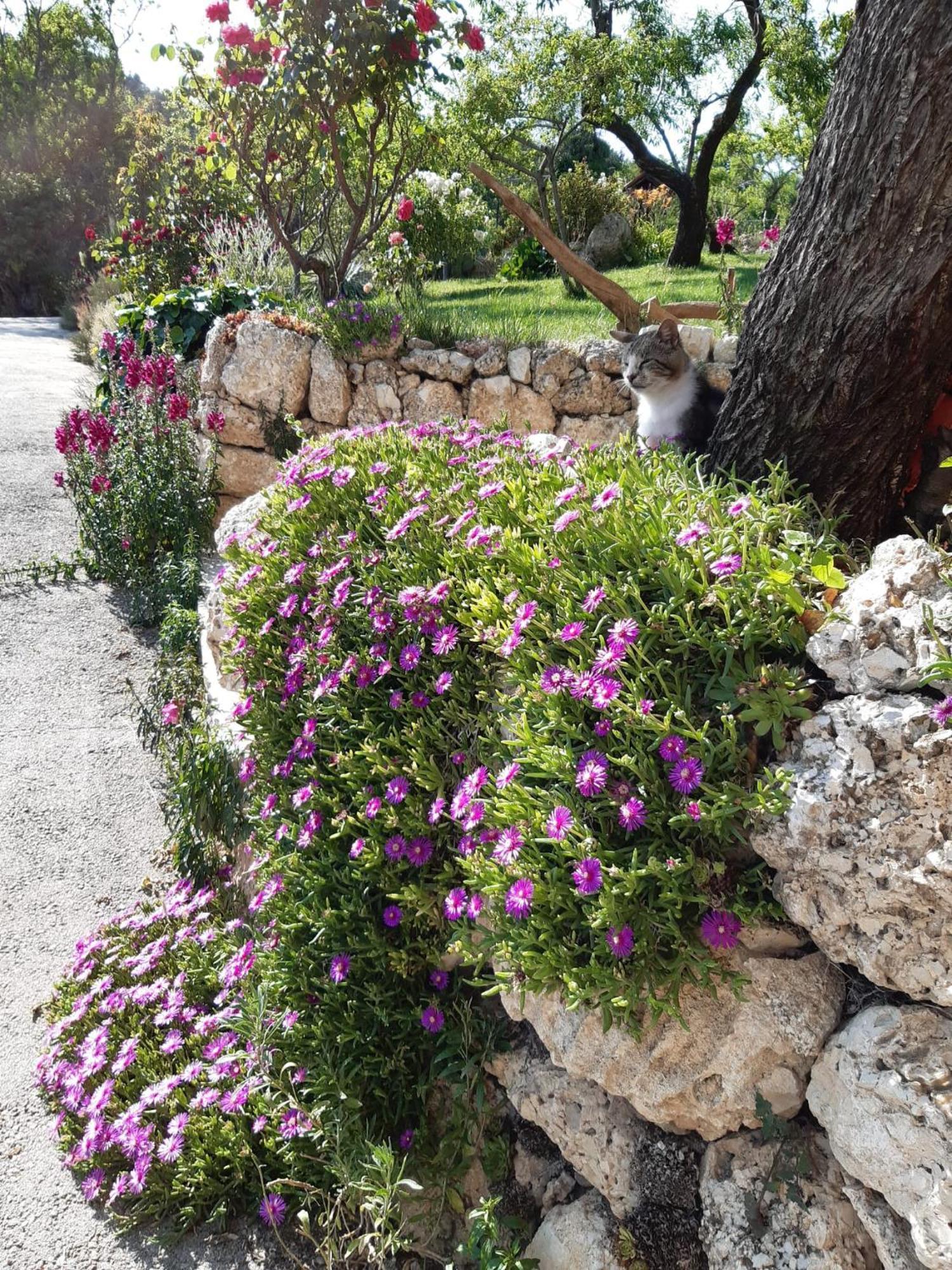 Il Girasole Bed and Breakfast Castelvecchio Calvisio Εξωτερικό φωτογραφία